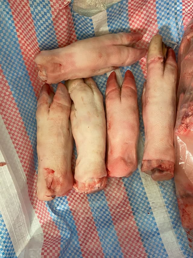 Miguu za ngurue-trotters