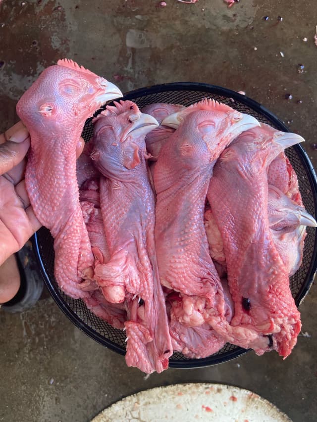Chicken heads with necks.